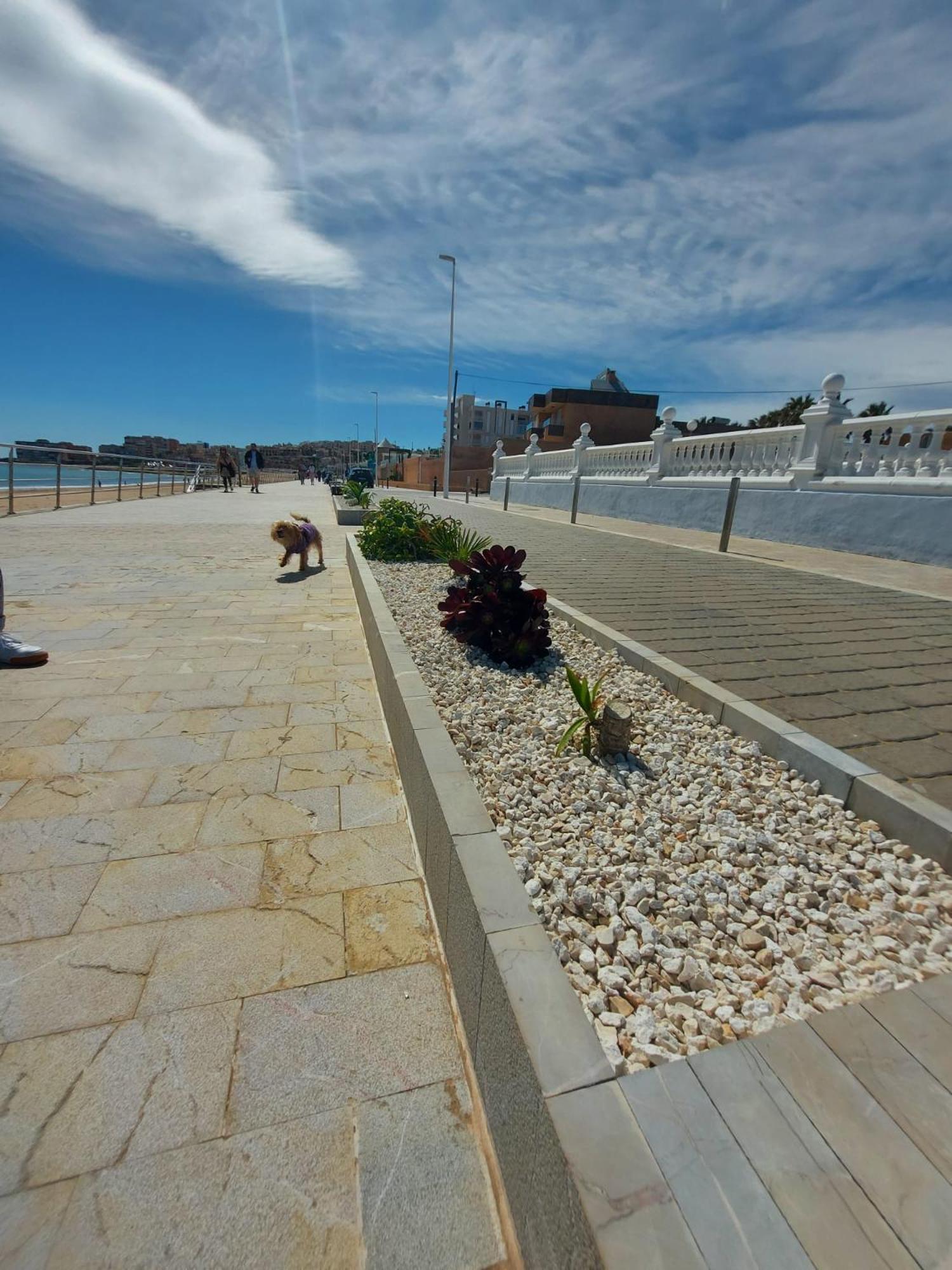 Maravillosa Terraza Con Vistas Al Mar, La Mata تورّيفيِخا المظهر الخارجي الصورة