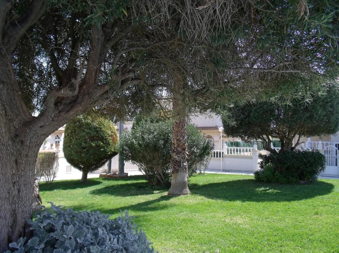Maravillosa Terraza Con Vistas Al Mar, La Mata تورّيفيِخا المظهر الخارجي الصورة